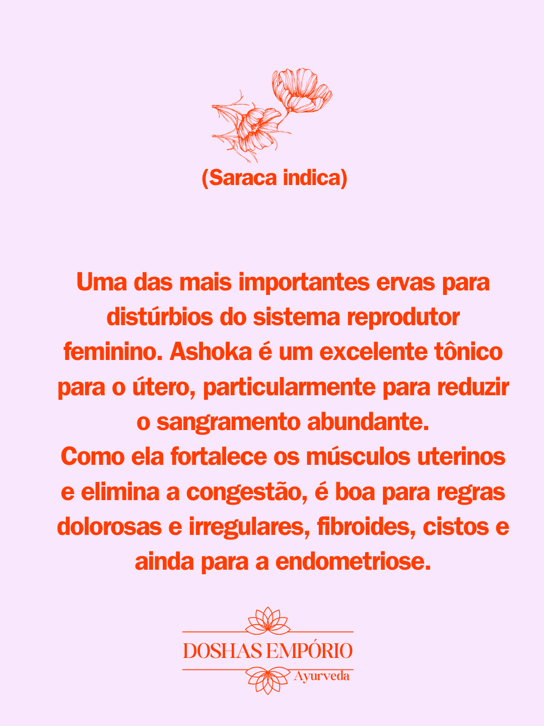 Ashoka indiana em pó 100g - Imagem 2