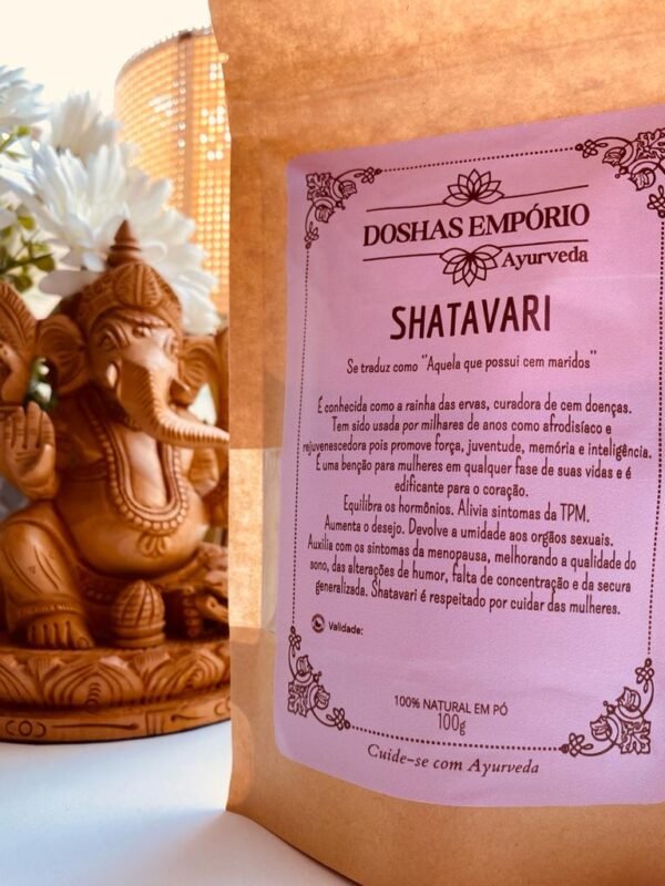 Shatavari em pó 100g - Imagem 3